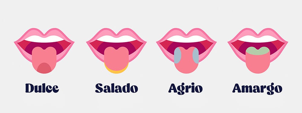 disgeusia alteración tipos de sabores